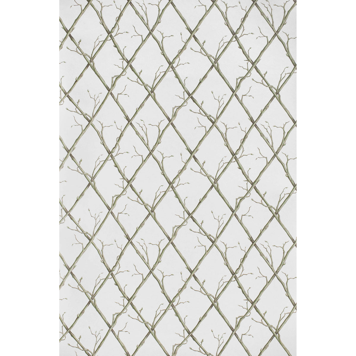 Twig Trellis Wp - Green