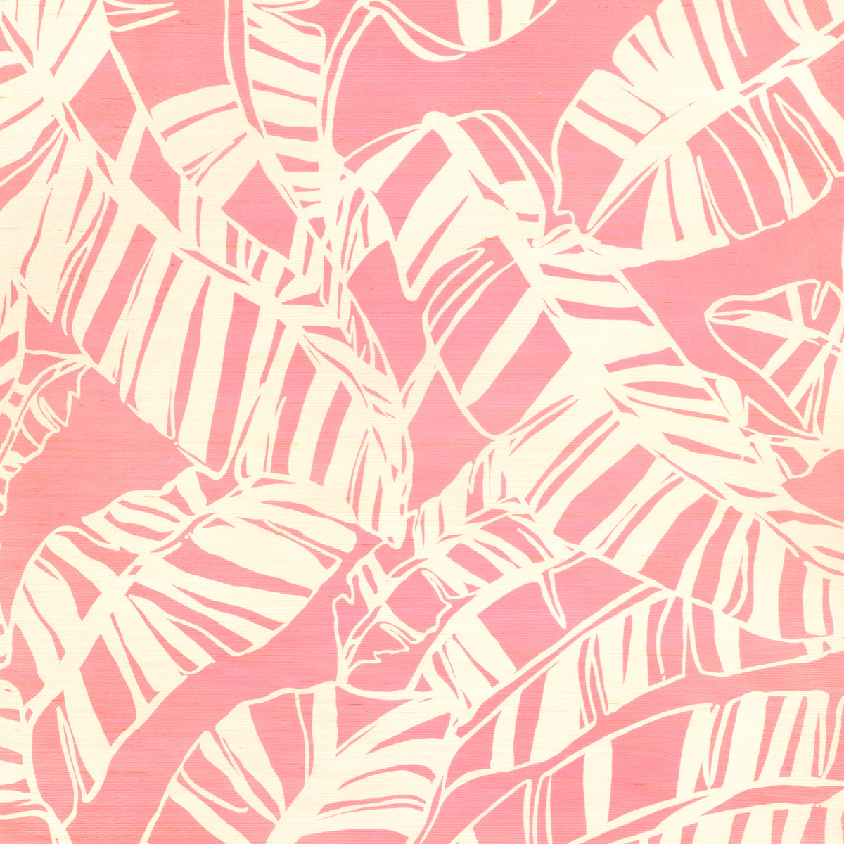 Just Bananas Gc - Pink