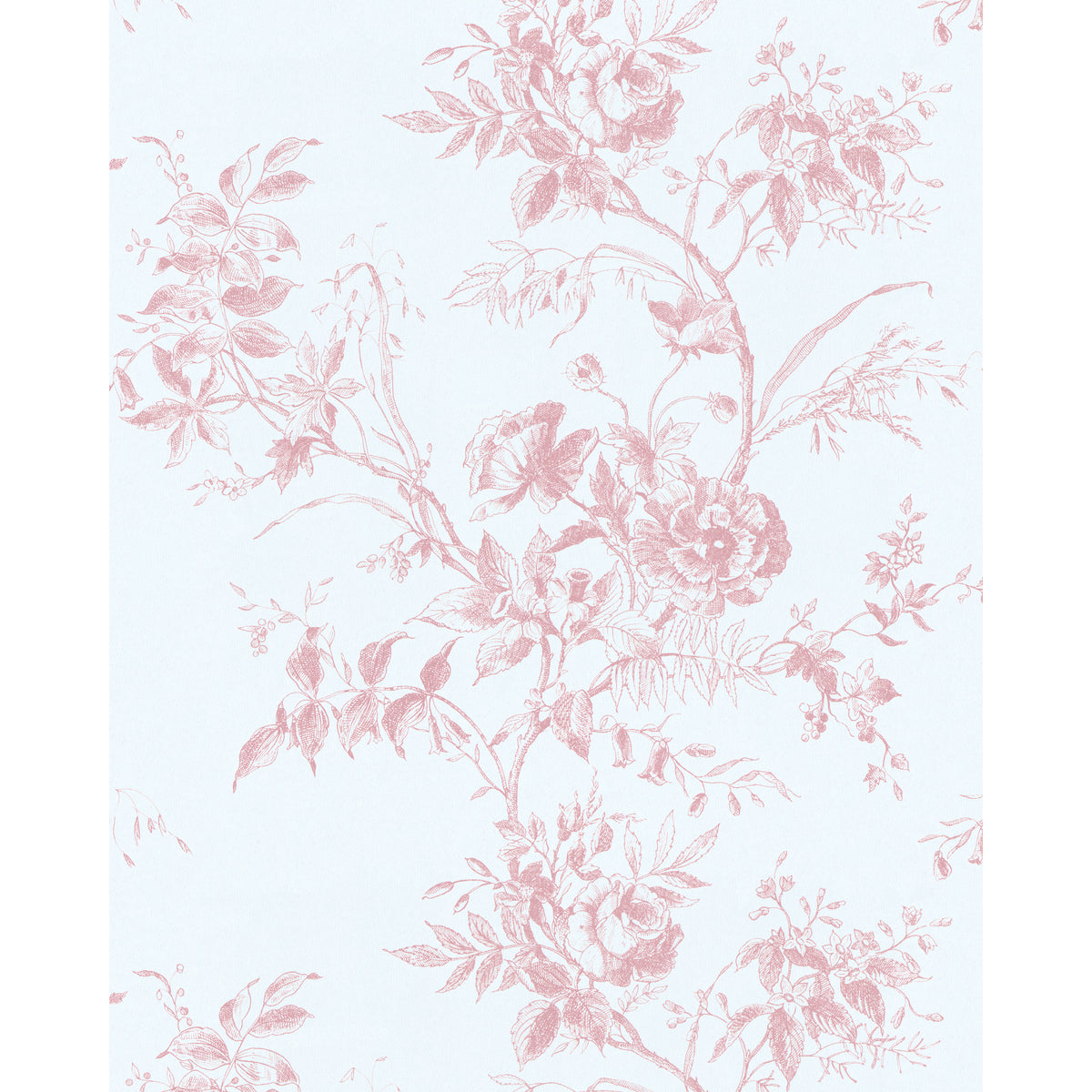 Tea Rose Toile Wp - Rose