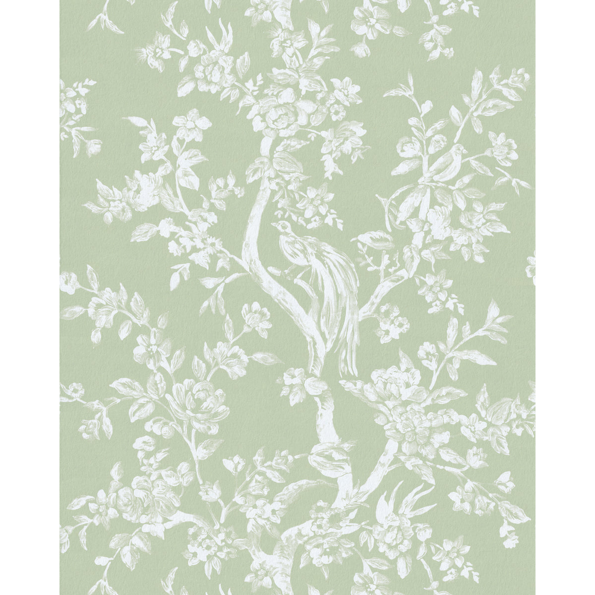 Camellia Toile Wp - Pear