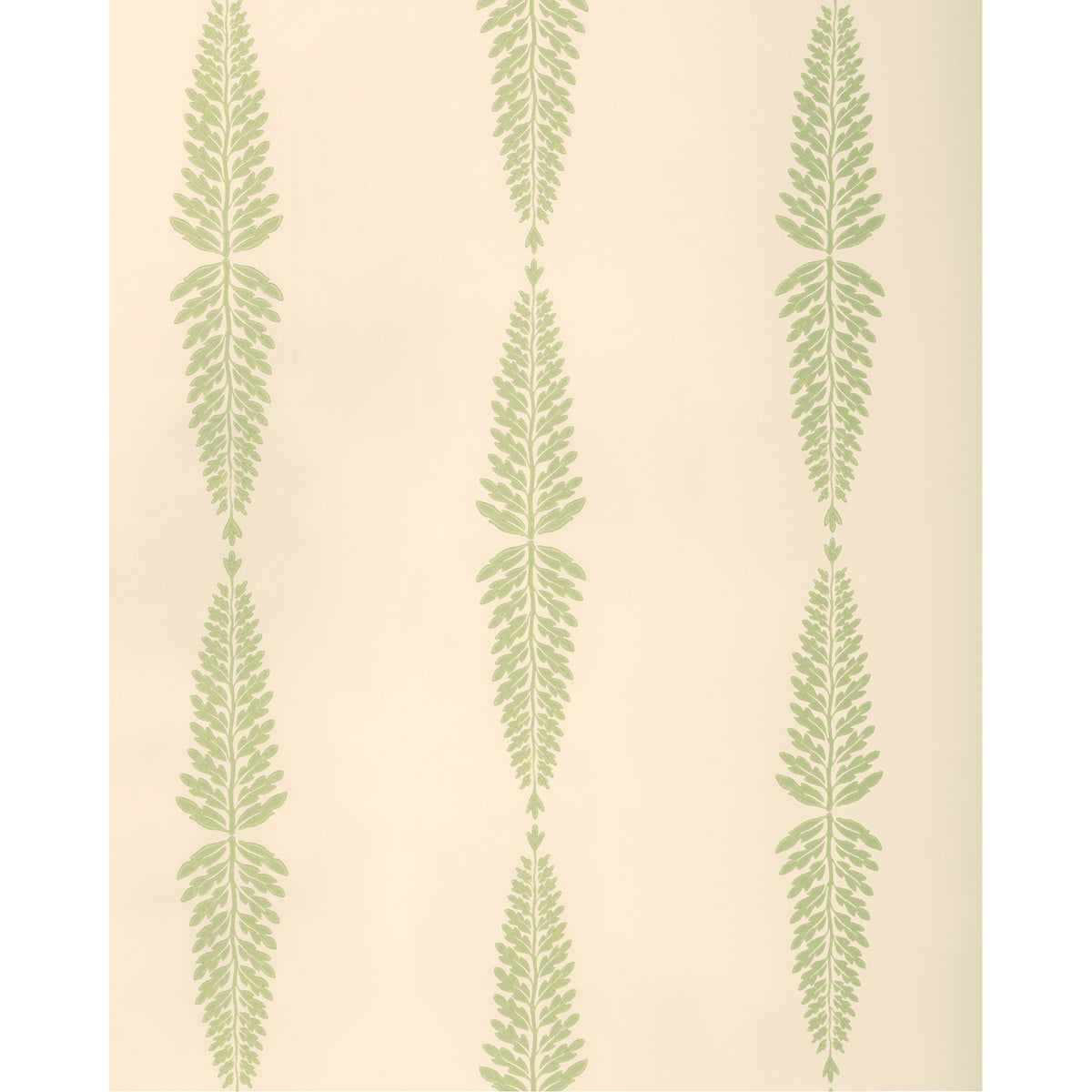 Glade Fern - Sage