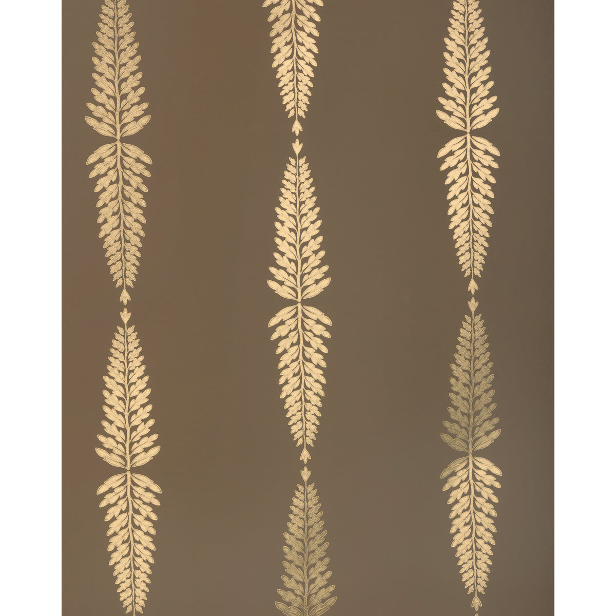 Glade Fern - Carob