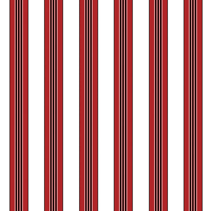 Rayure Lione - Red
