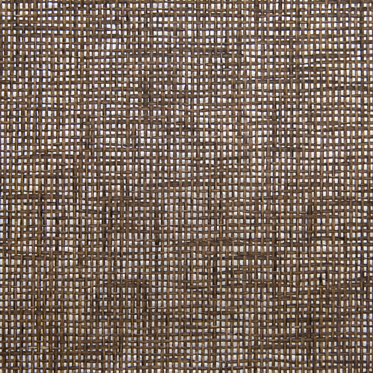 Ino - Brown Silver