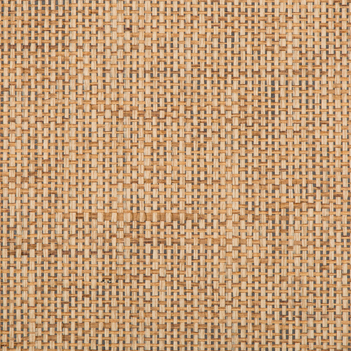 Tosa - Chestnut
