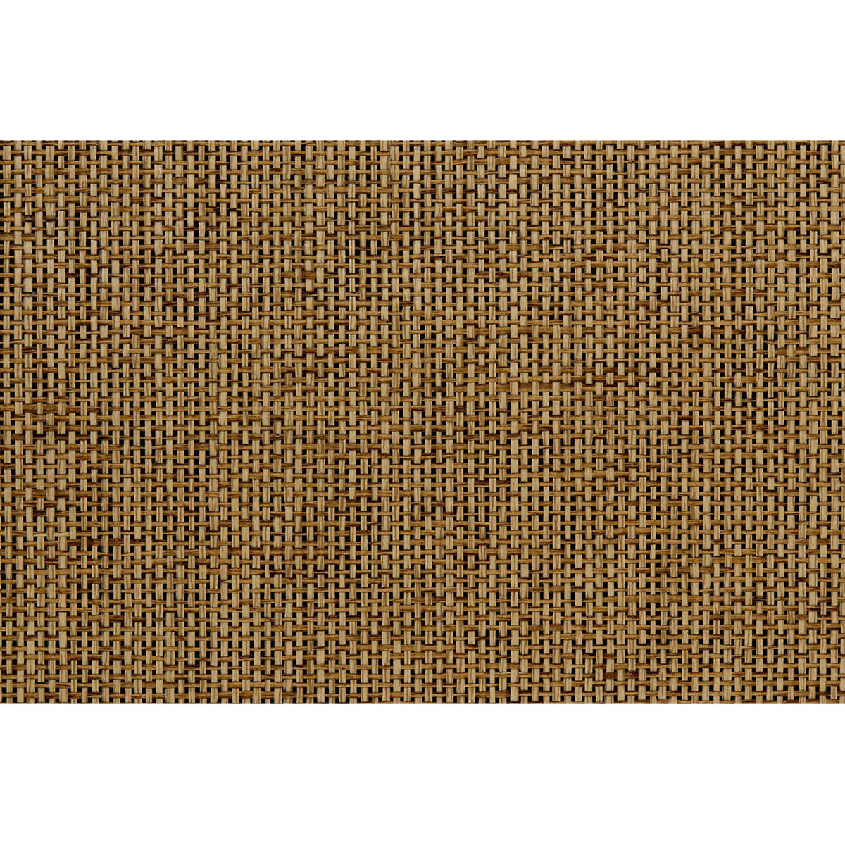 Tosa - Walnut