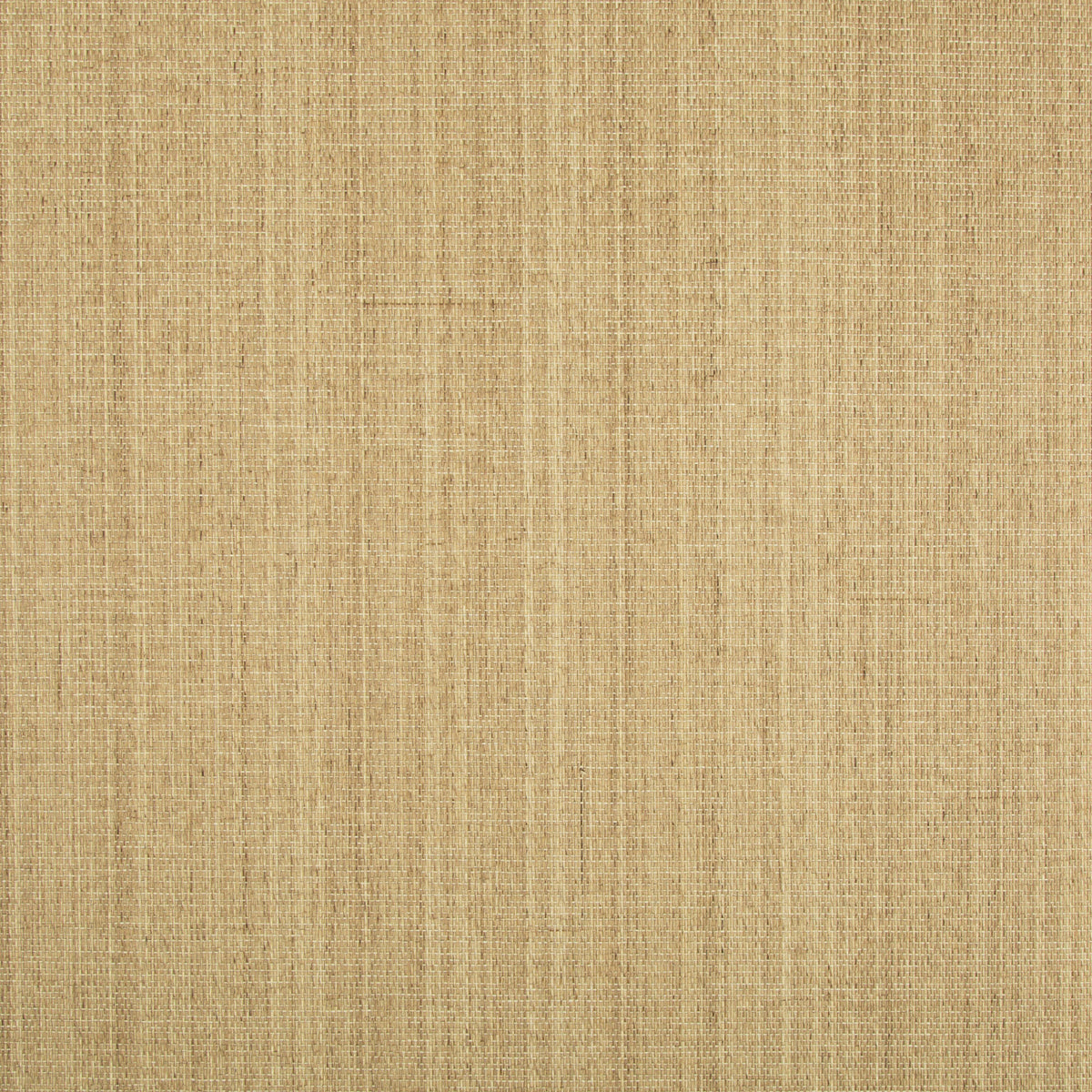 Ochi - Wheat
