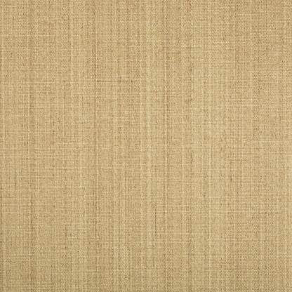 Ochi - Wheat