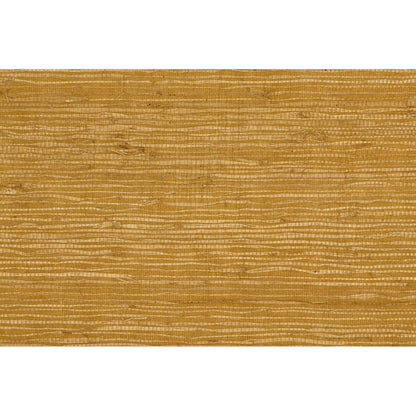 Kochi - Maize