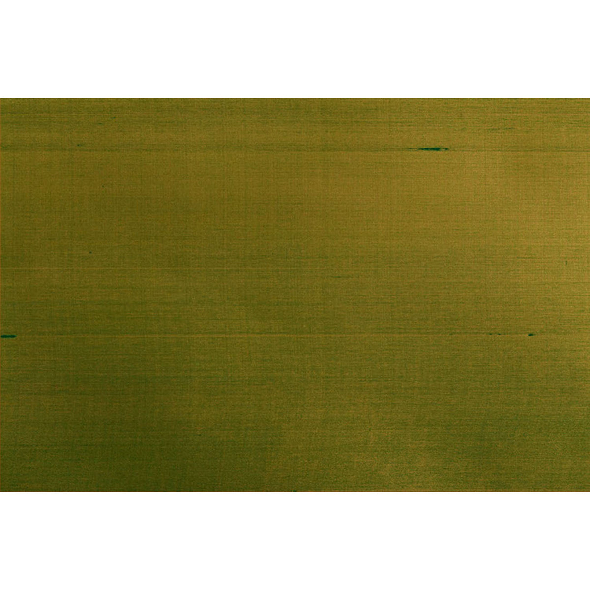 Seijun - Olive