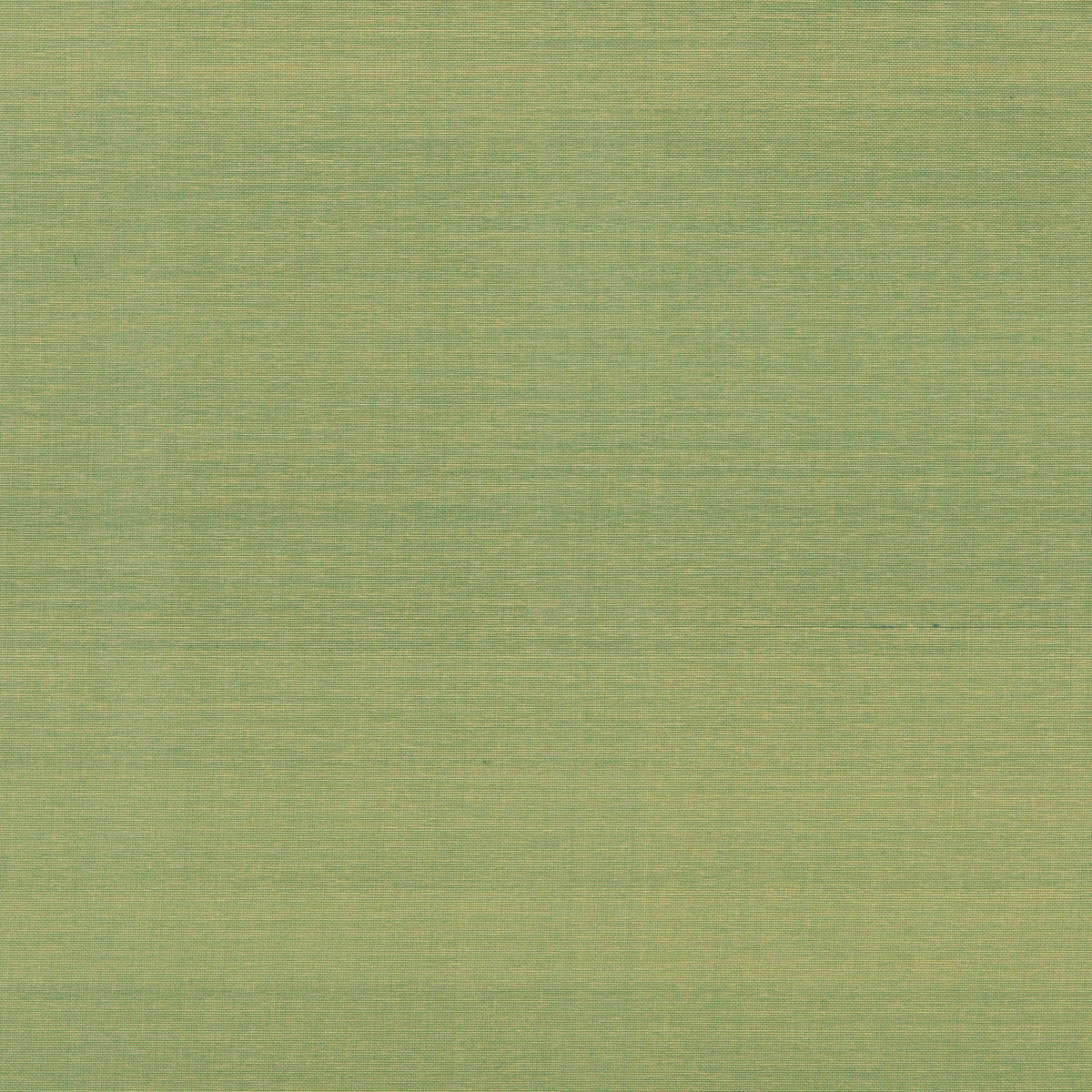 Seijun - Jade