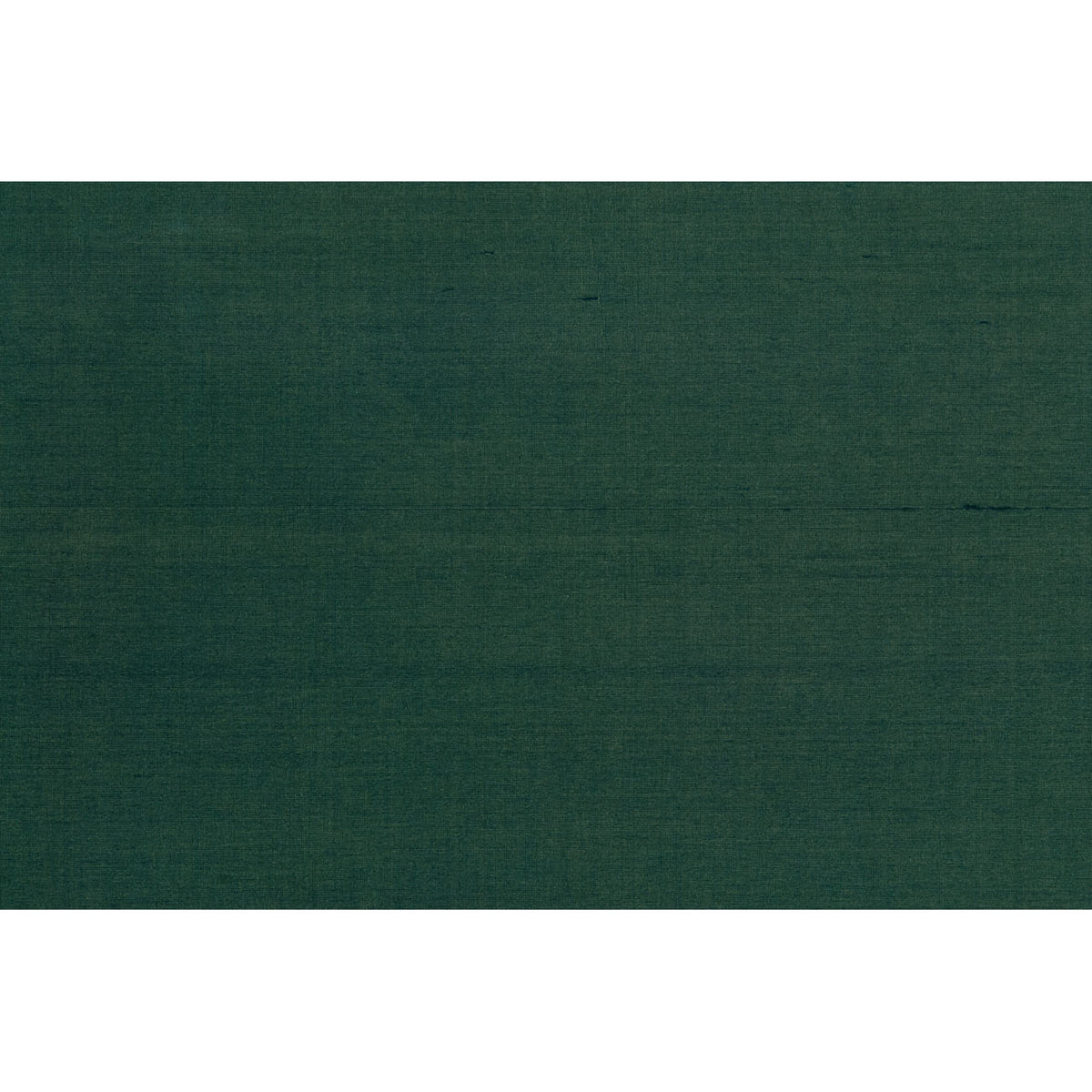 Seijun - Forest