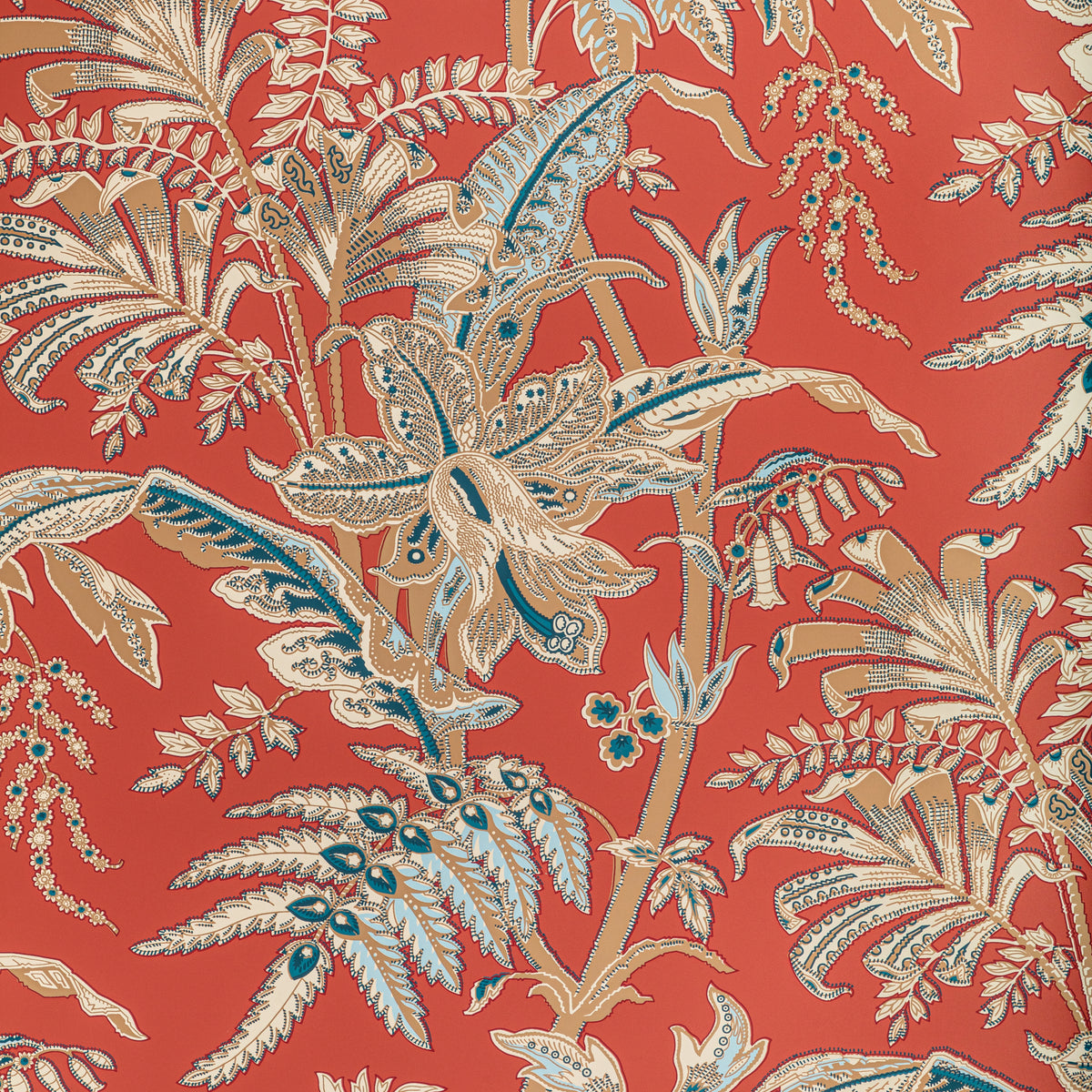 Seychelles - Coral