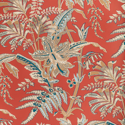 Seychelles - Coral