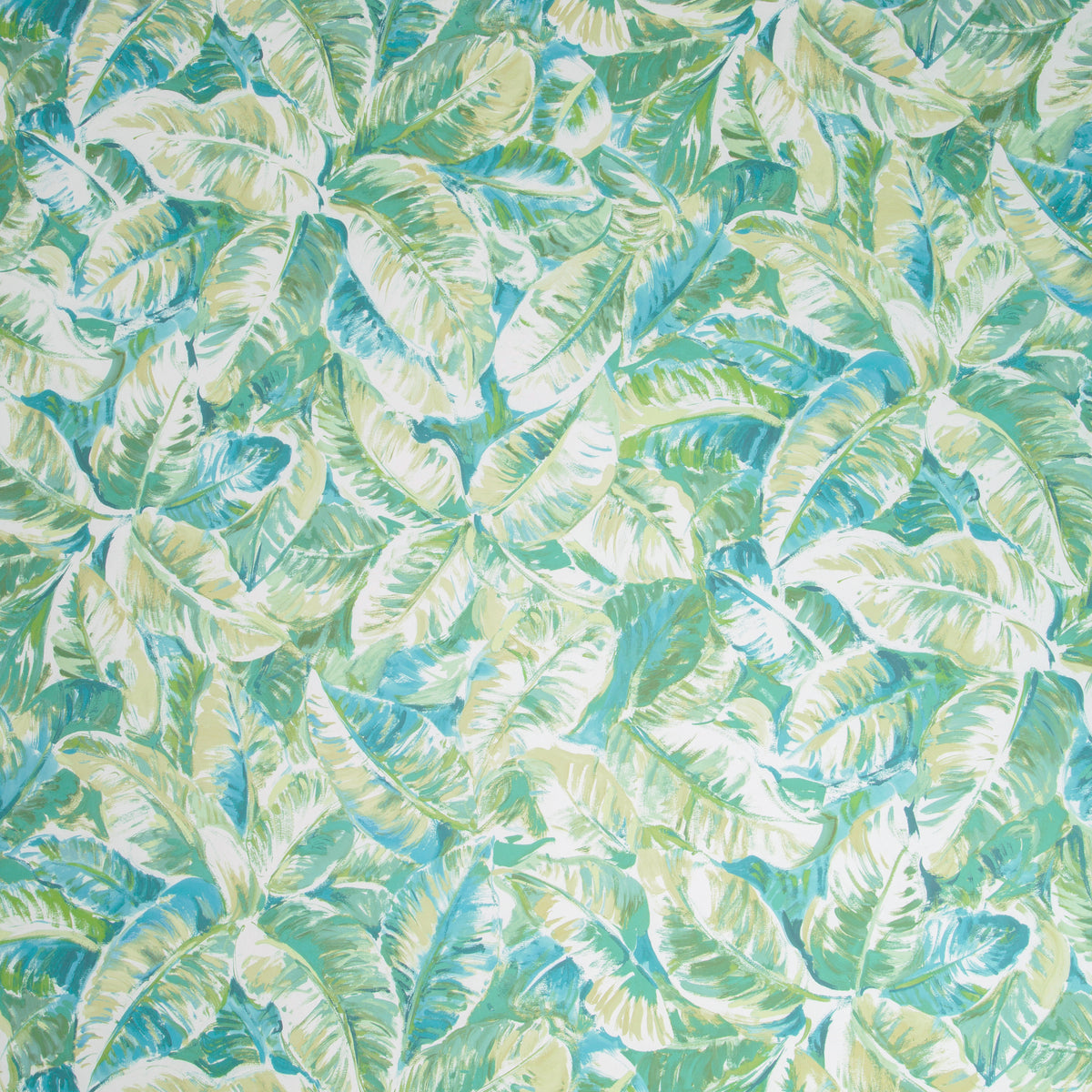 Diani - Seaglass