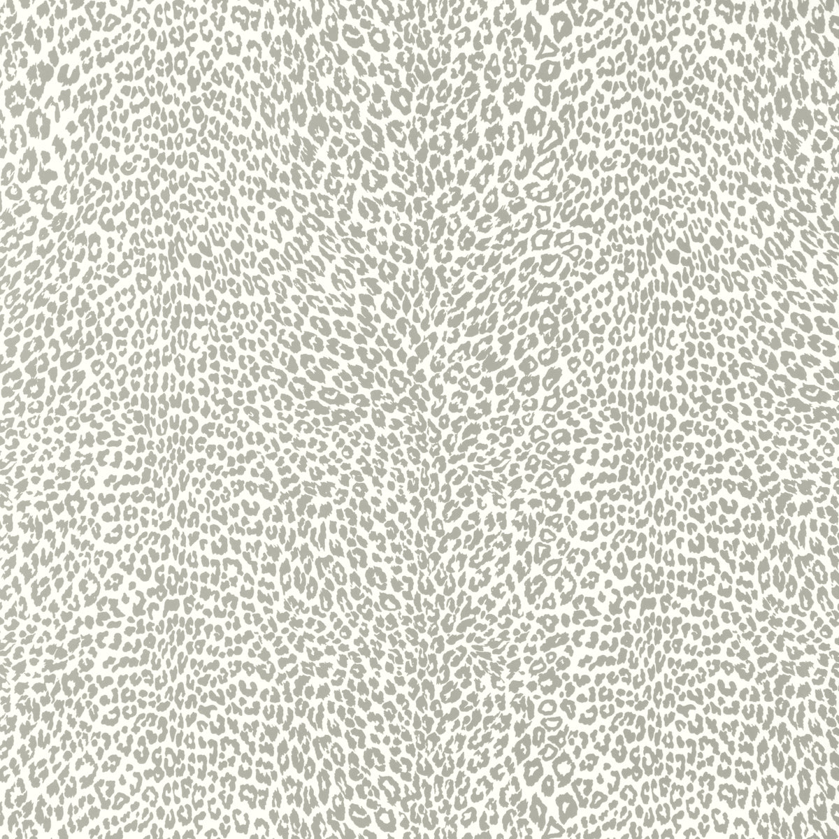 Petit Leopard - Gray