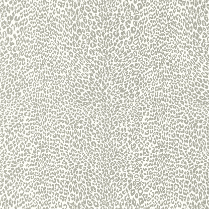 Petit Leopard - Gray