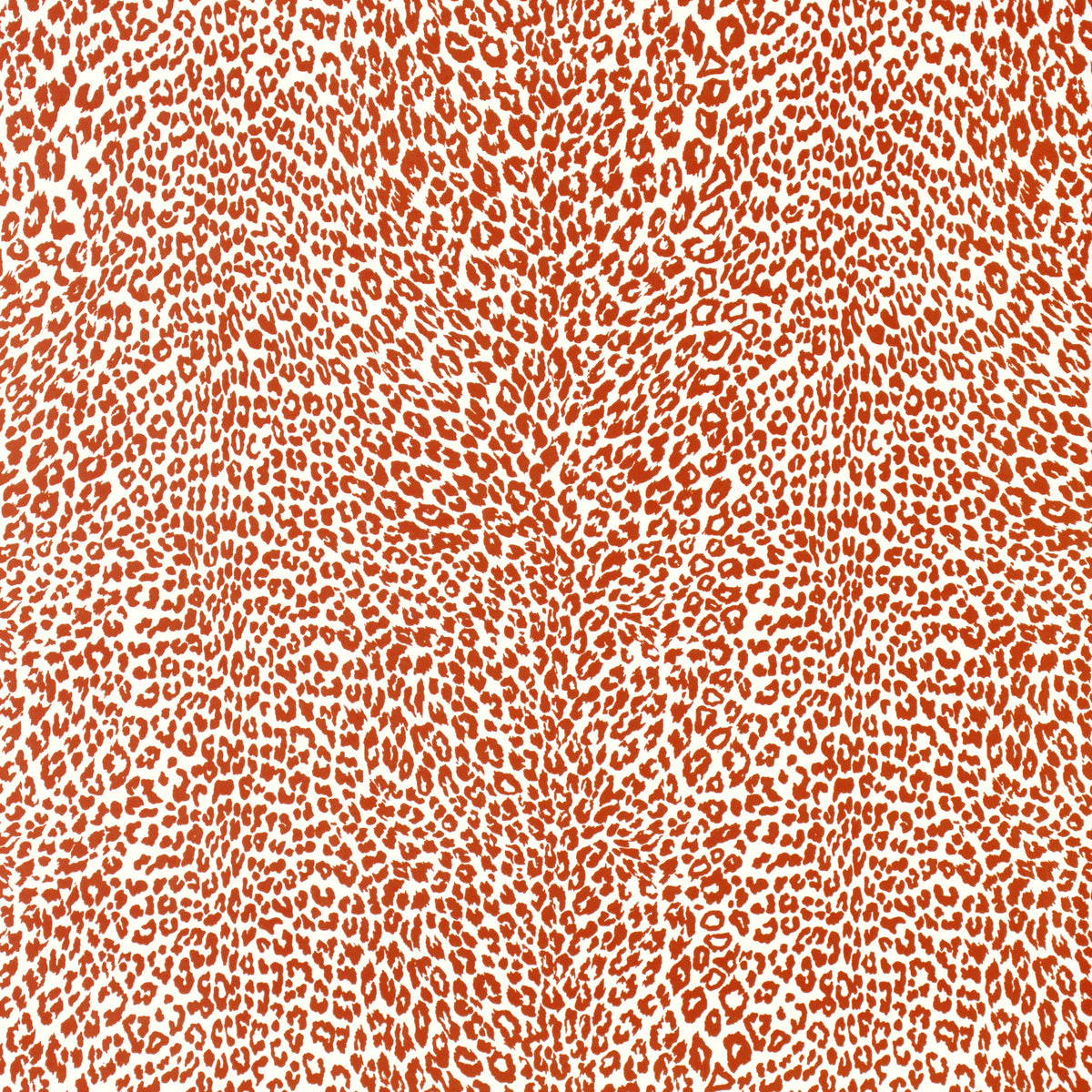Petit Leopard - Orange