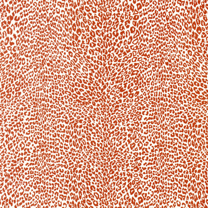 Petit Leopard - Orange
