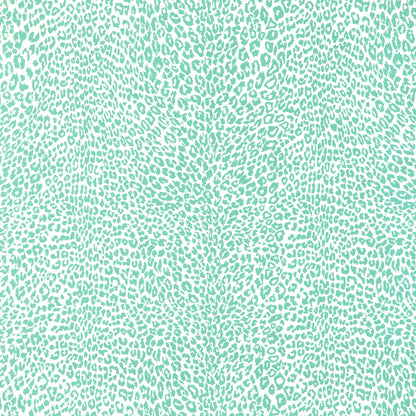 Petit Leopard - Aqua
