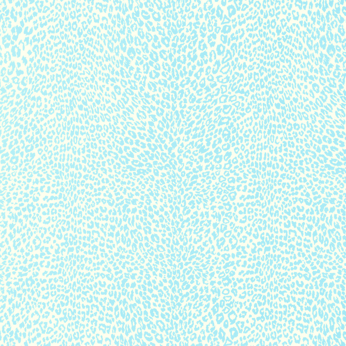 Petit Leopard - Sky