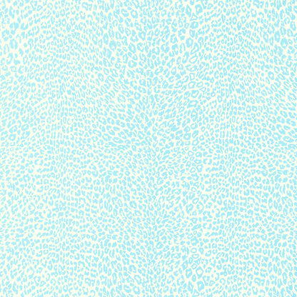 Petit Leopard - Sky
