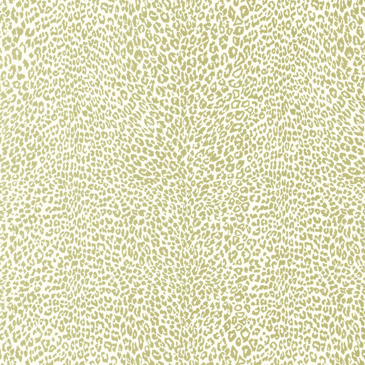 Petit Leopard - Beige
