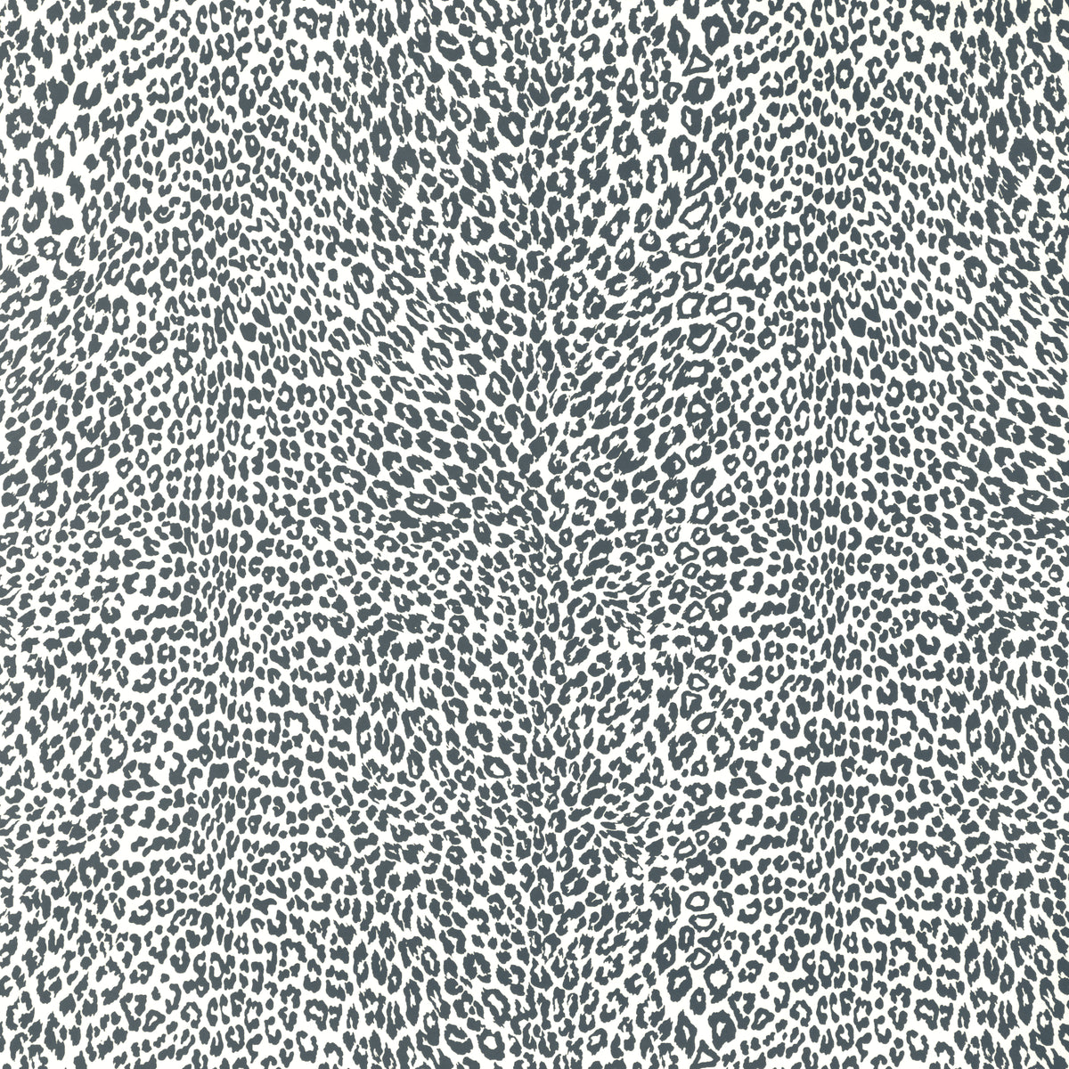 Petit Leopard - Charcoal