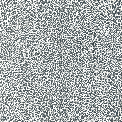 Petit Leopard - Charcoal