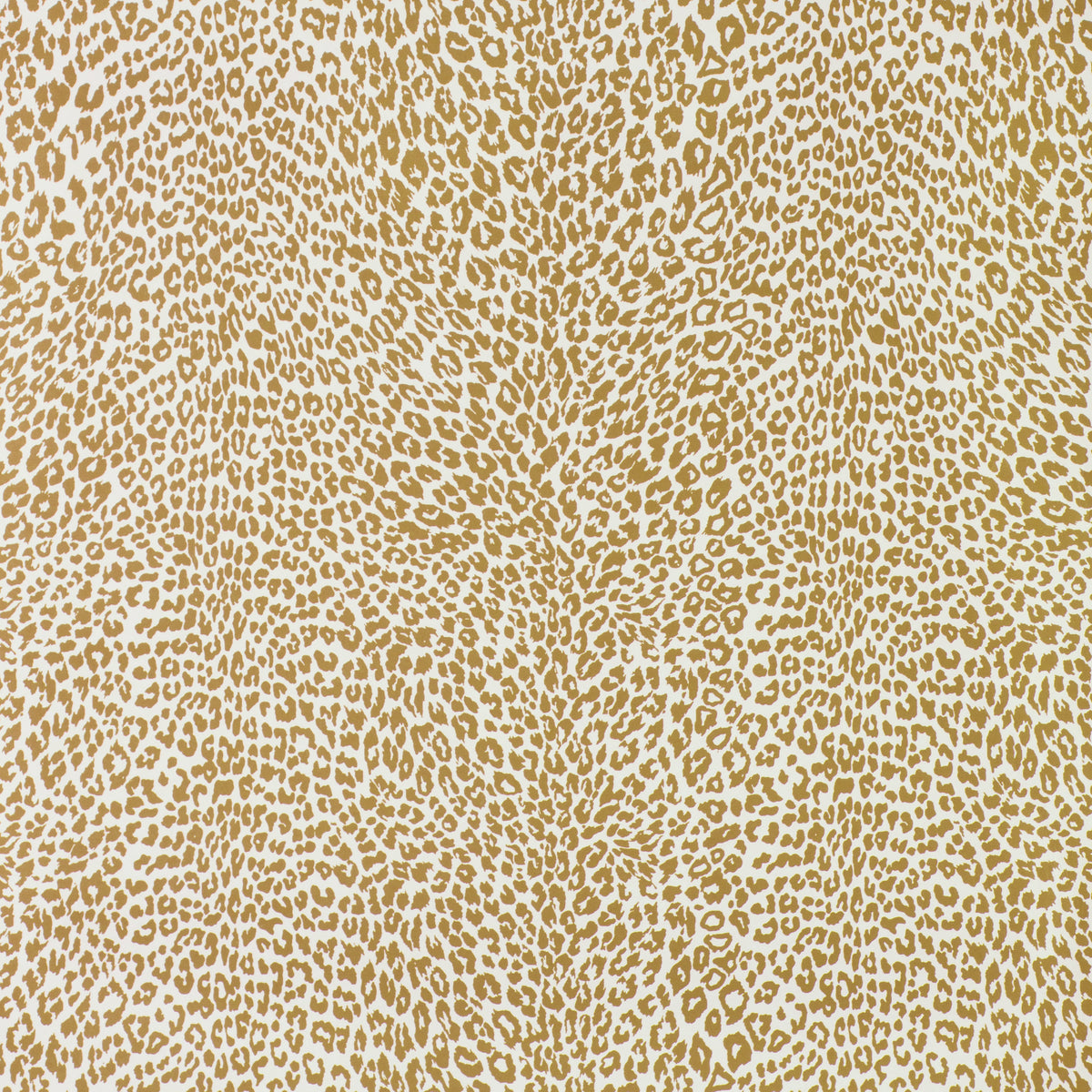 Petit Leopard - Gold