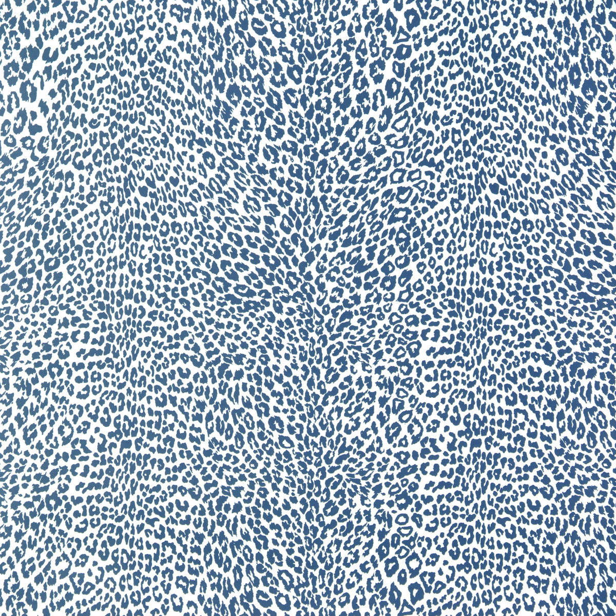 Petit Leopard - Blue