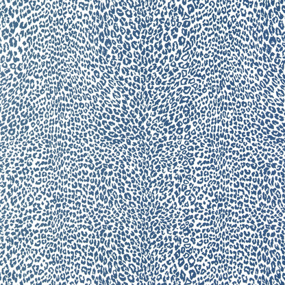 Petit Leopard - Blue