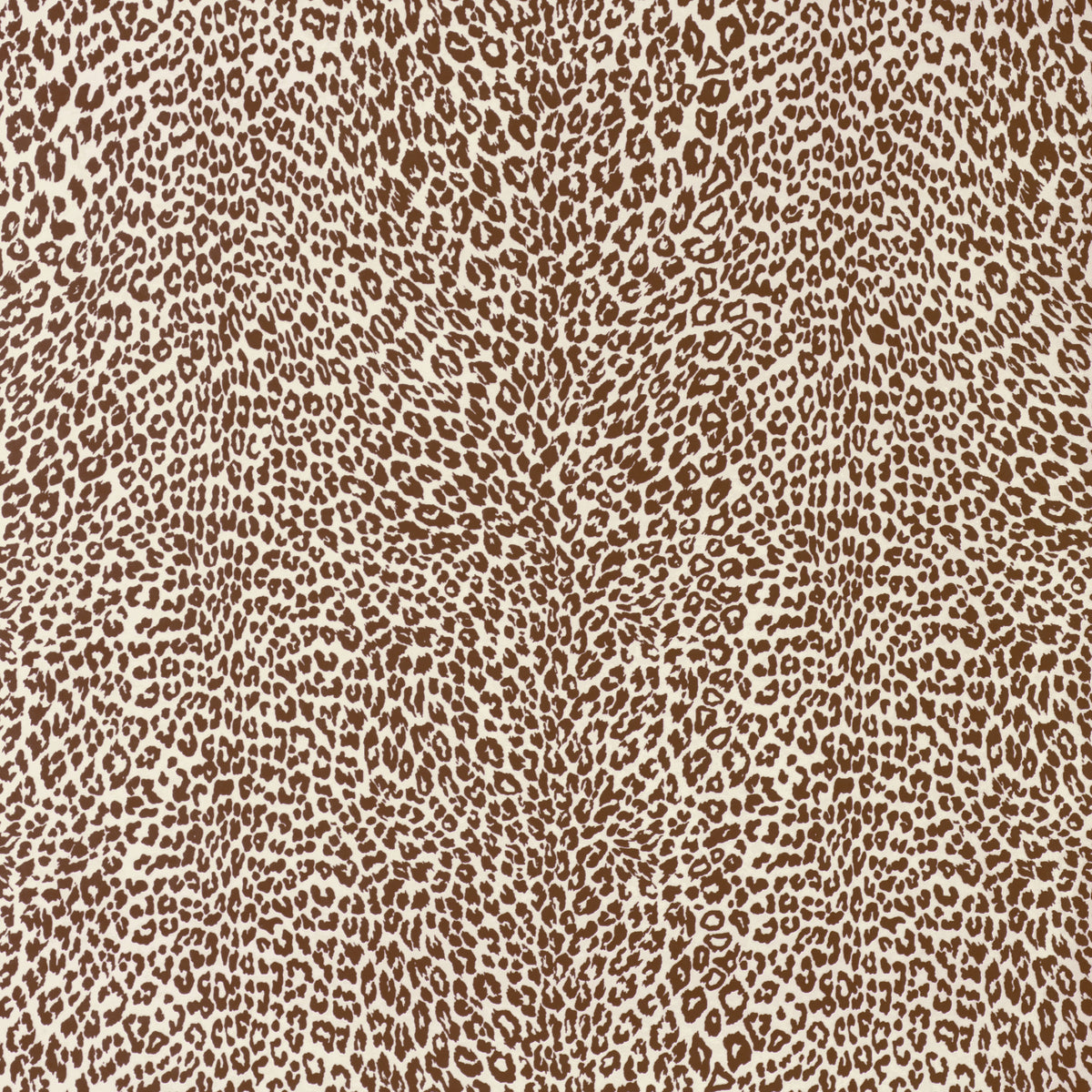 Petit Leopard - Chocolate