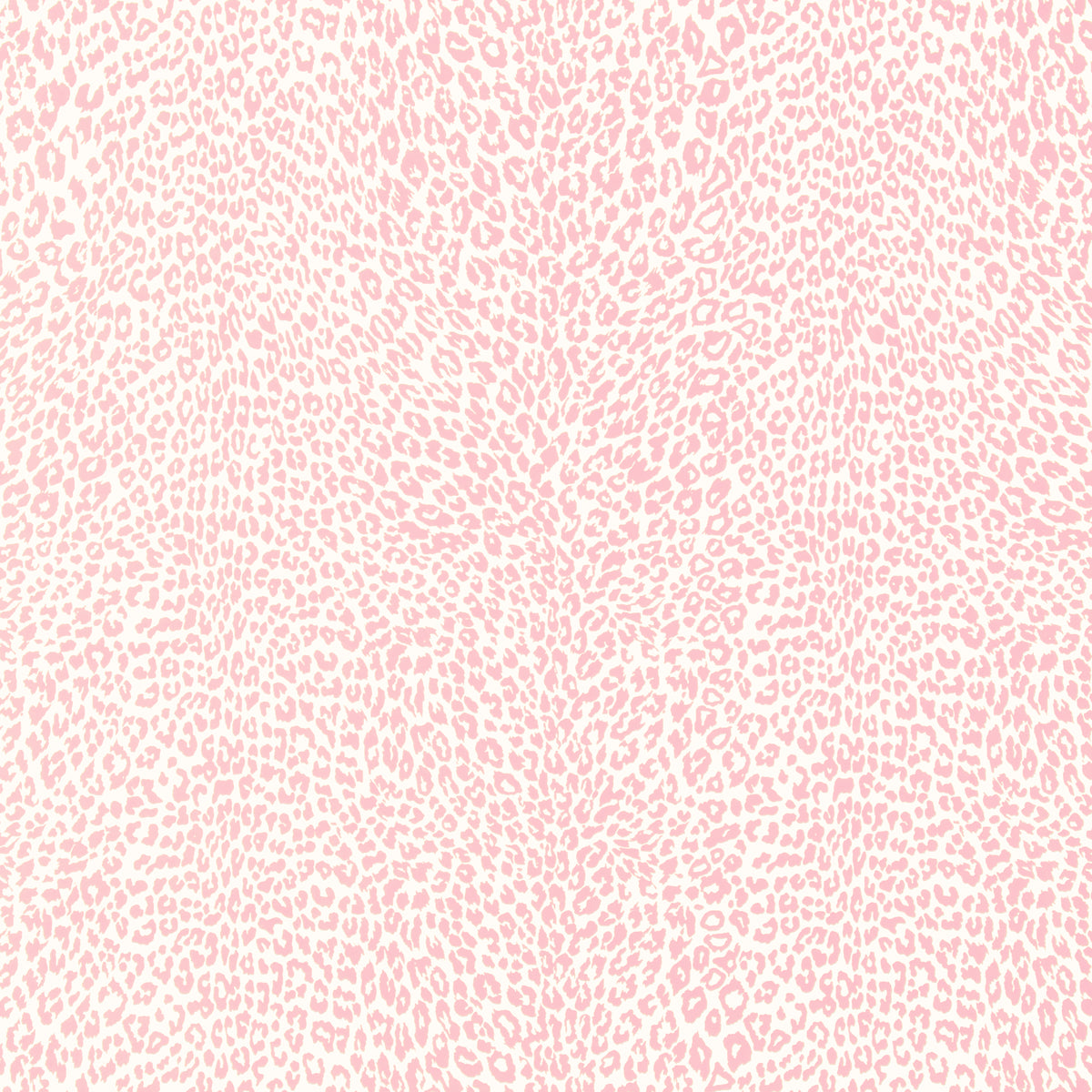 Petit Leopard - Rose