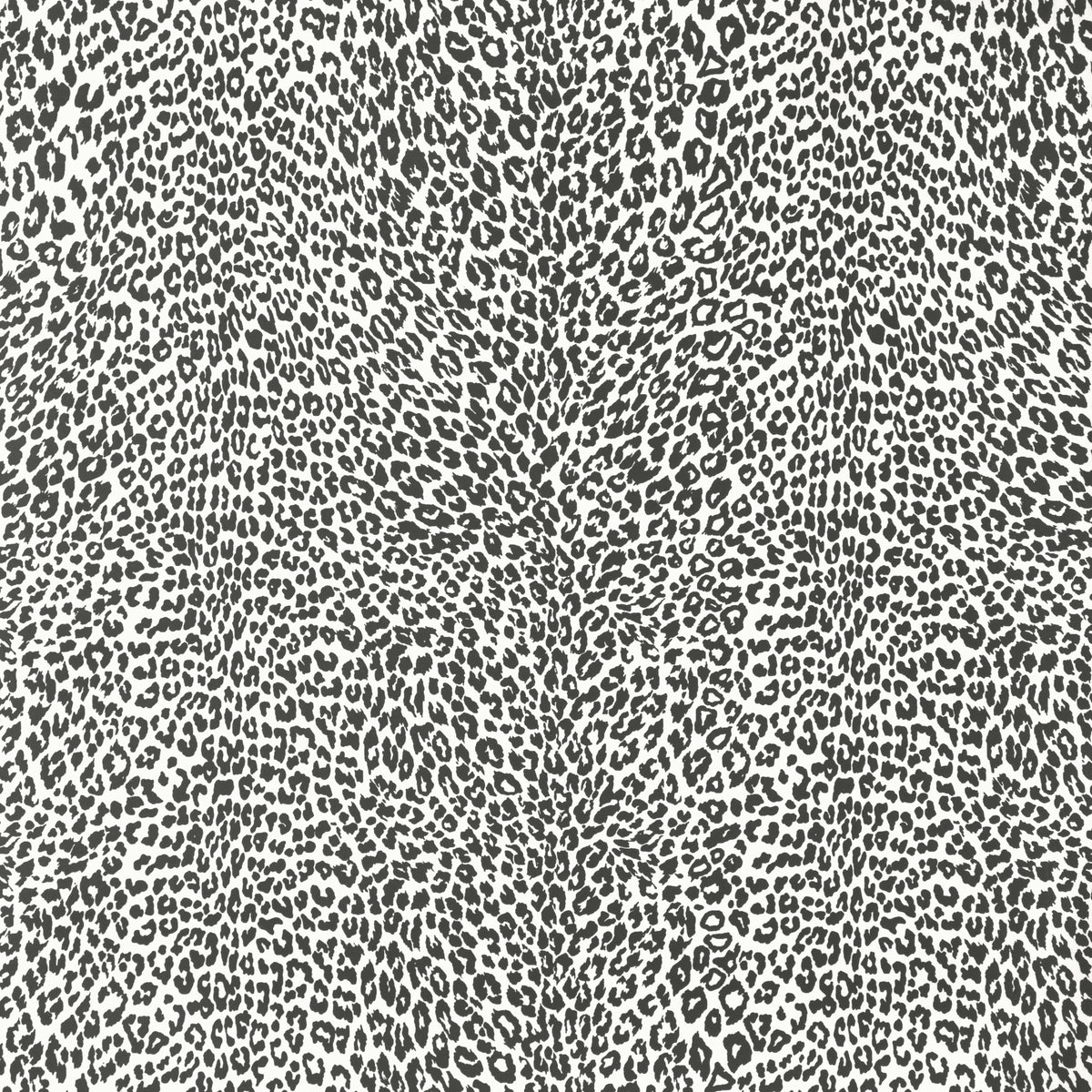 Petit Leopard - Noir