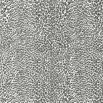 Petit Leopard - Noir