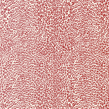 Petit Leopard - Rouge