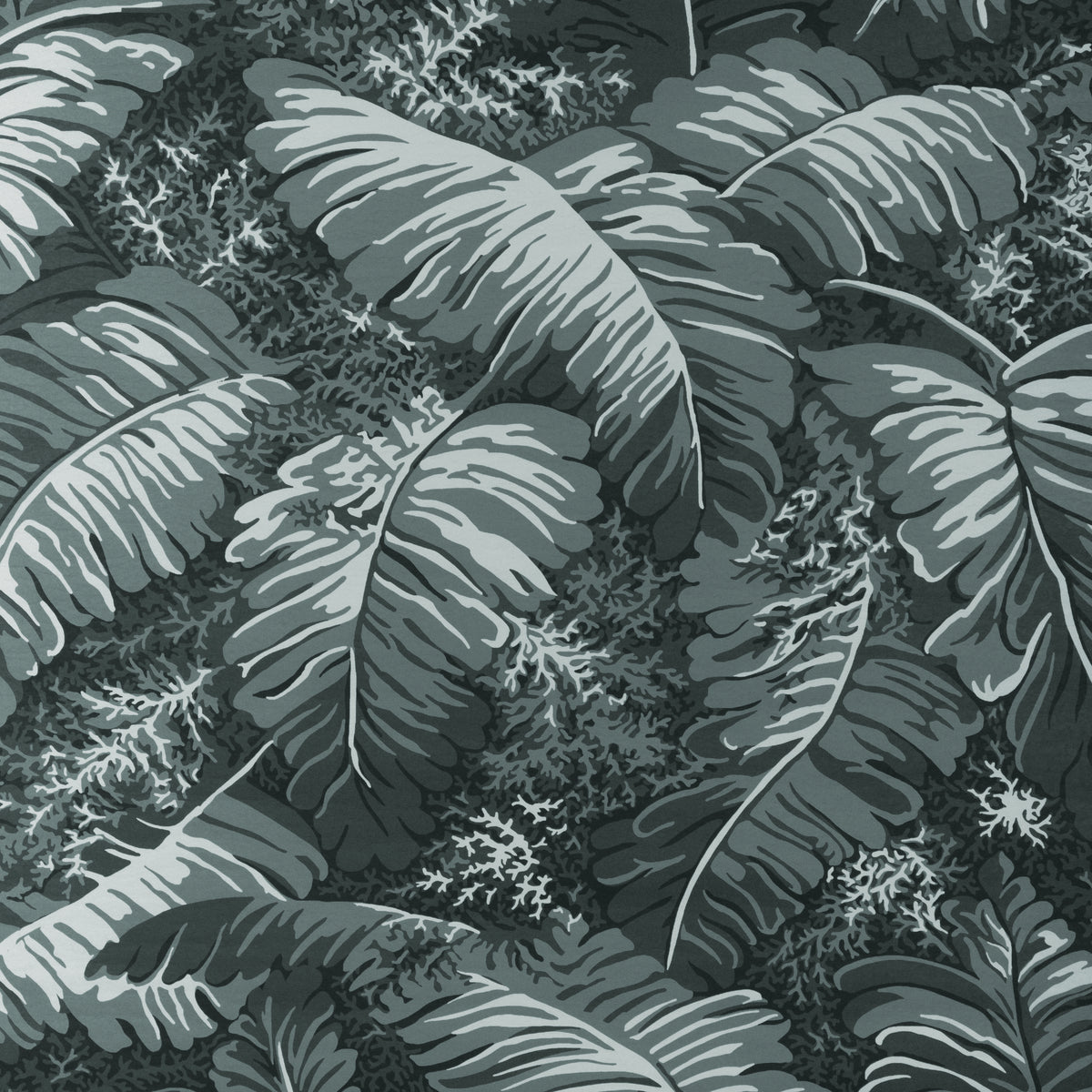 Feuilles De Bananier - Gris