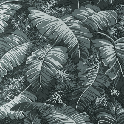 Feuilles De Bananier - Gris