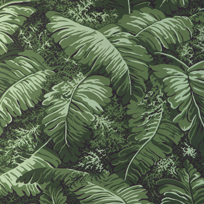Feuilles De Bananier - Leaf