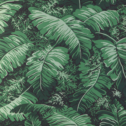 Feuilles De Bananier - Ivy