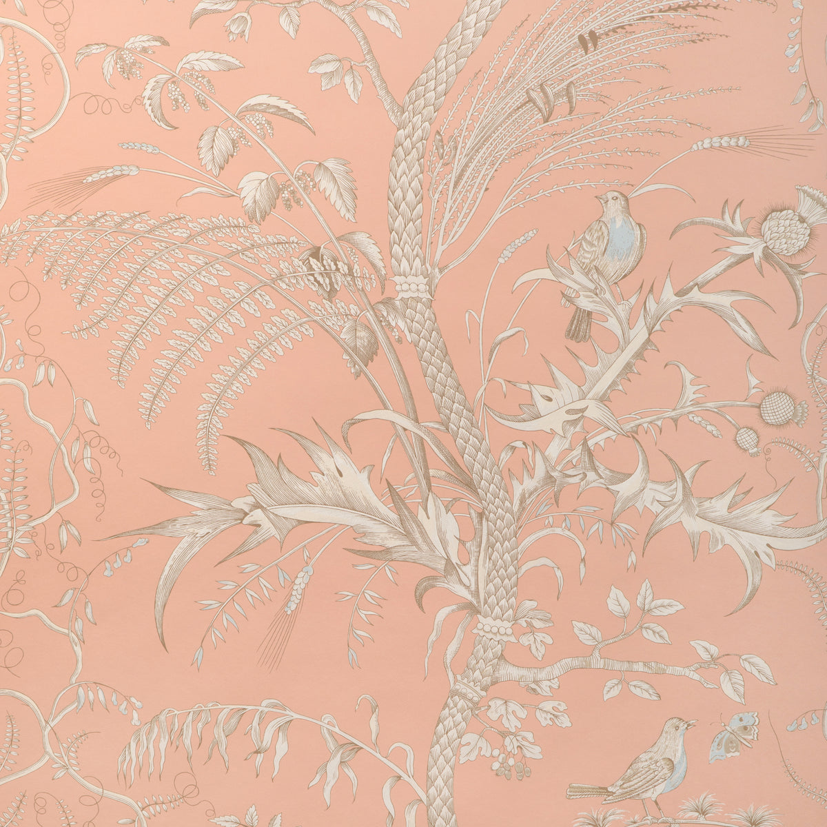 Bird And Thistle Ii - Peach