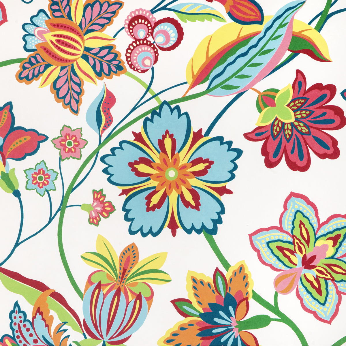 Botanique - Berry