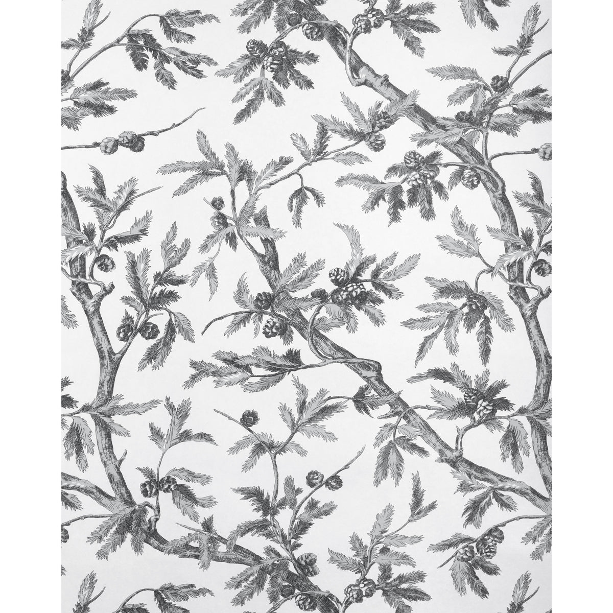Branches De Pin Wc - Grey