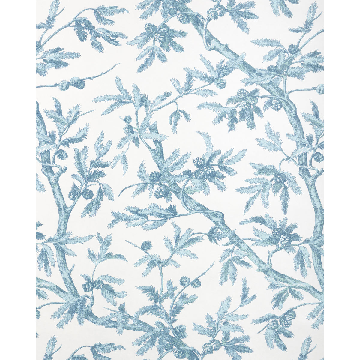 Branches De Pin Wc - Aqua