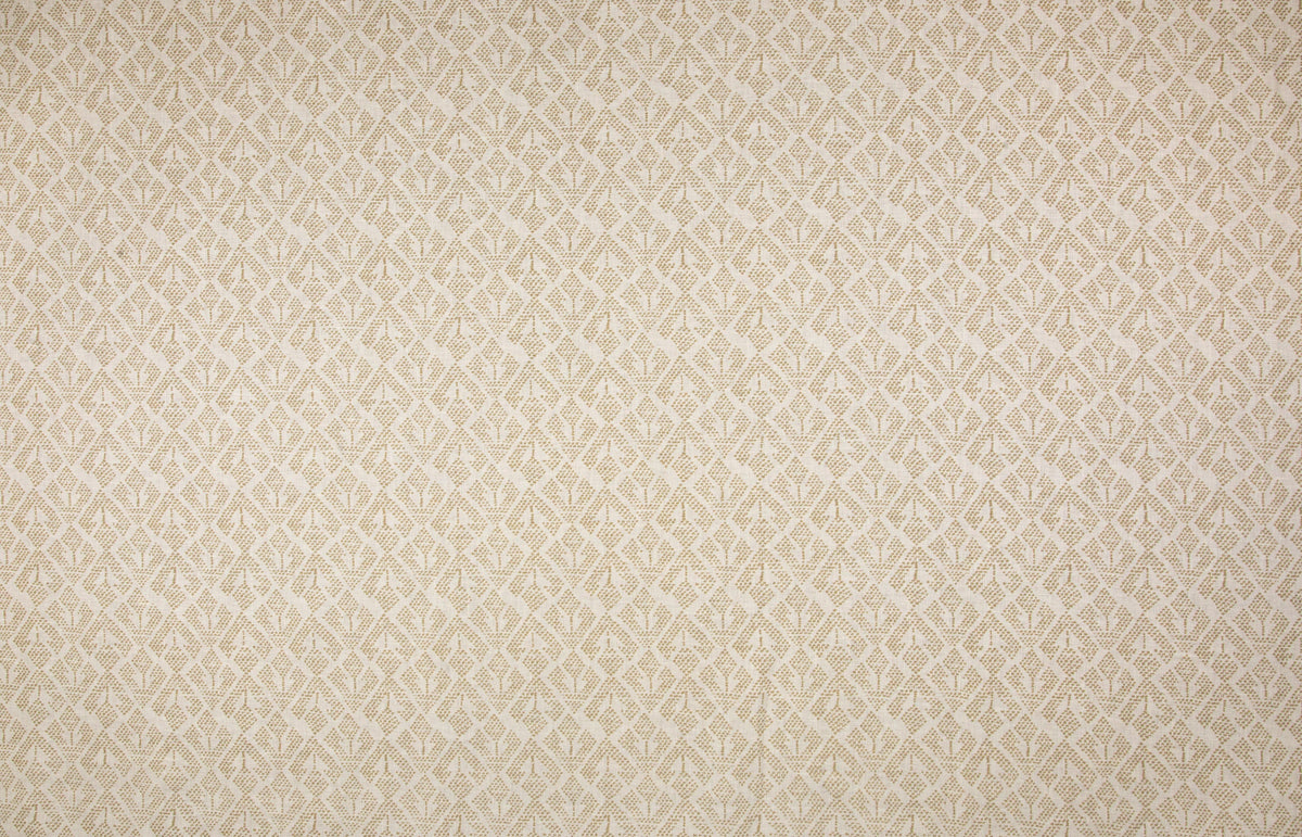 Patmos Fabric by Carolina Irving in Taupe