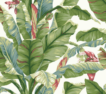 Banana Leaf Peel & Stick Wallpaper