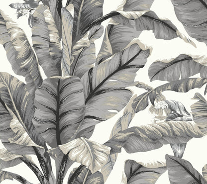 Banana Leaf Peel & Stick Wallpaper