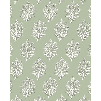 Dabu Wp - Sage