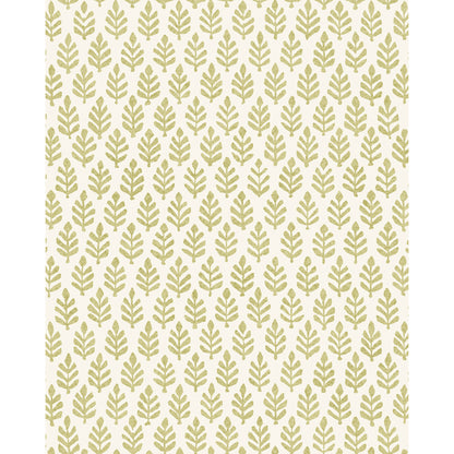 Folia Wp - Moss